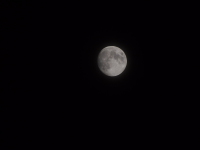 十三夜のお月さま（E-P3, 300mm）